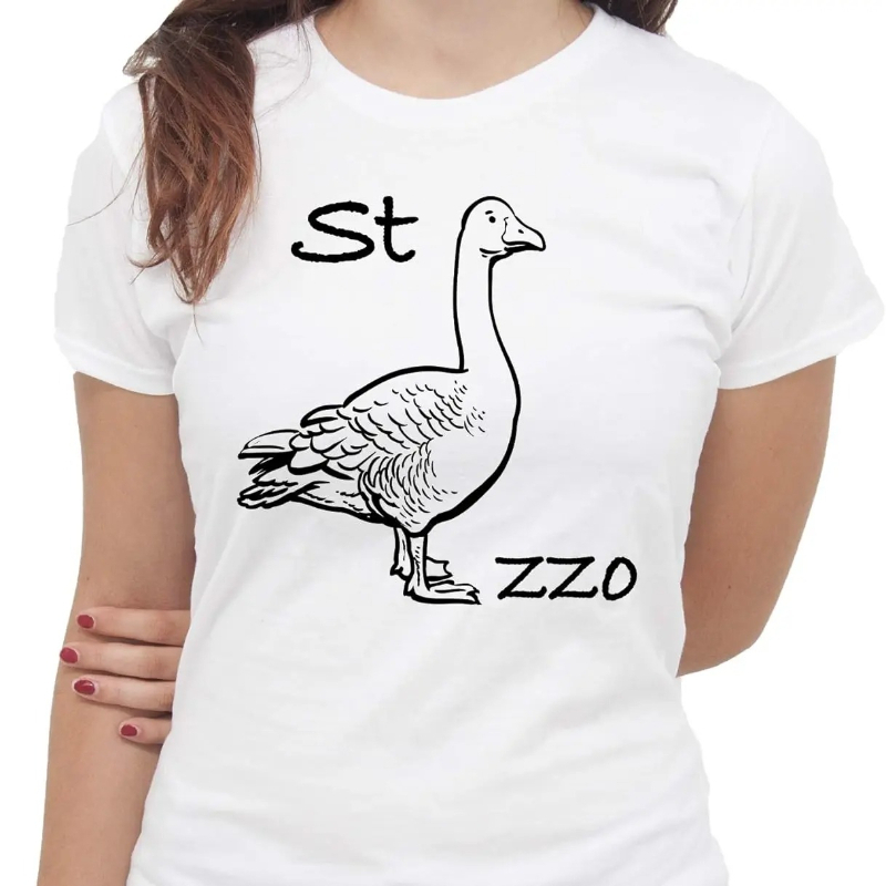 IMage Goose Rebus T-Shirt Funn - Summer Clothing Images review and price
